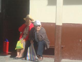 La longevidad en el sur andino