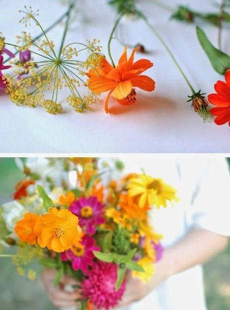 Flores / Flowers