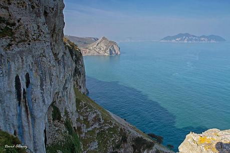 Los buitres que volaban sobre la mar