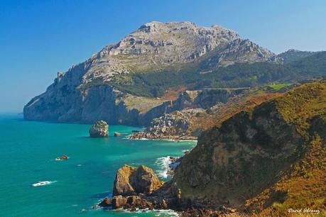 Los buitres que volaban sobre la mar