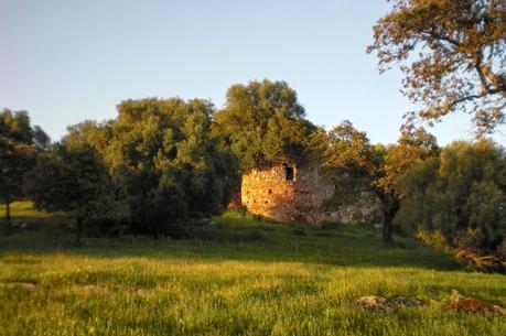 Colaboraciones de Extremadura, caminos de cultura: Castillo de Castellanos (Cáceres), en la Lista Roja de Patrimonio