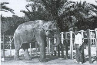 Leones y otras fieras en el Palacio Real Menor