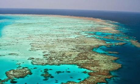  La Gran Barrera de Coral (VIDEO)