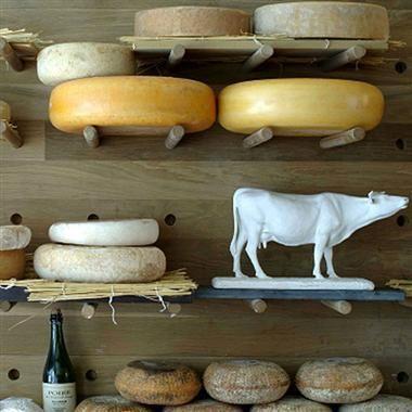 ¿Por qué no debemos consumir productos lácteos de origen animal?