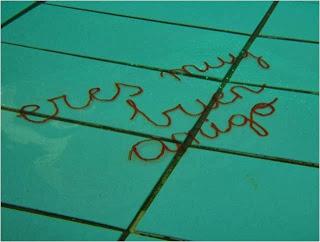 Los niños amando el agua