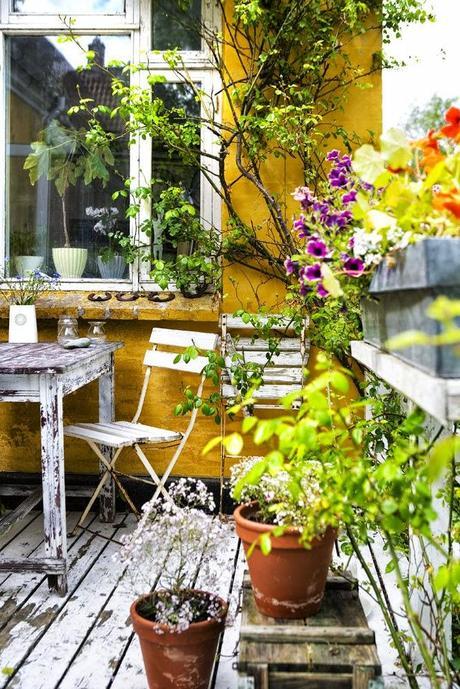 ESTE PUENTE, ¡NOS VAMOS A LA PARCELA!