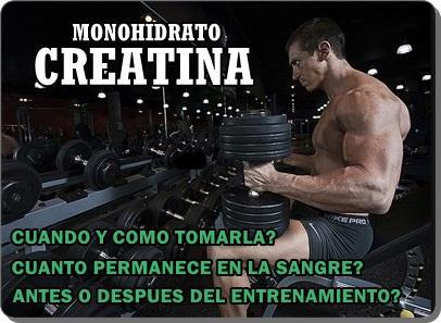 Cuándo tomar suplementos de Creatina