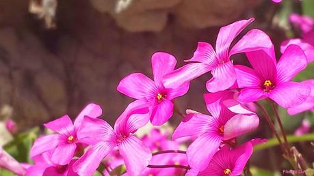 La Vuelta al Mundo con Jackie Rueda