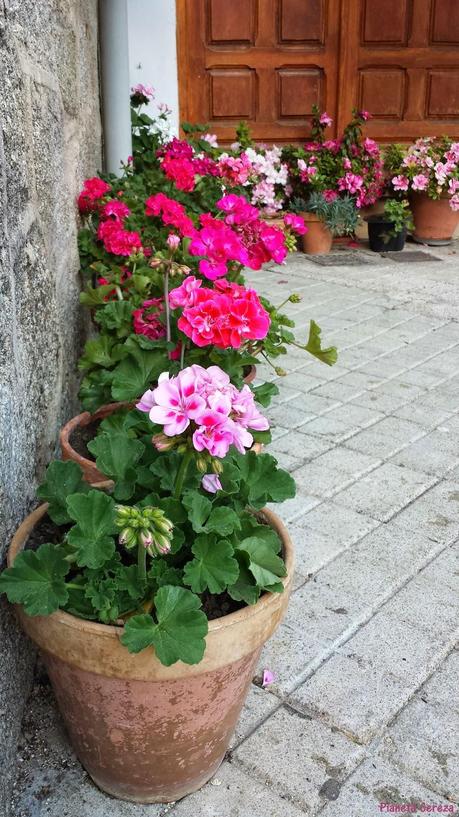 La Vuelta al Mundo con Jackie Rueda