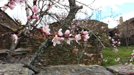 La Vuelta al Mundo con Jackie Rueda