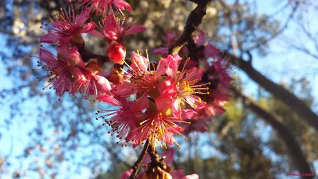 La Vuelta al Mundo con Jackie Rueda
