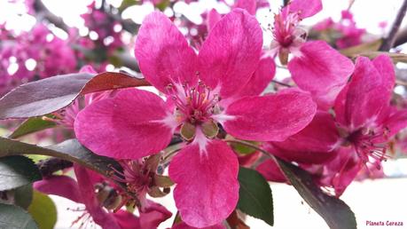 La Vuelta al Mundo con Jackie Rueda