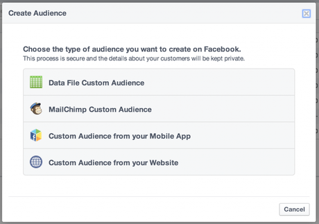 custom website audiences