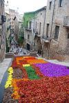 Temps de Flors, una exposición callejera que no te puedes perder