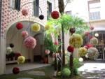 Temps de Flors, una exposición callejera que no te puedes perder