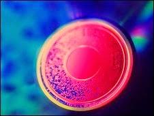 Un disco óptico que puede almacenar información por mil millones de años