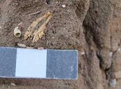 ¿Fueron vikingos primeros llegar Madeira?