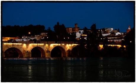 Puente de Palmas