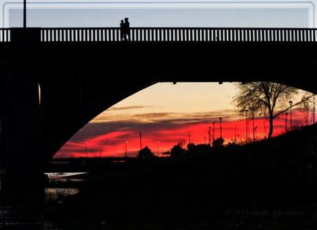 Puente de la Universidad