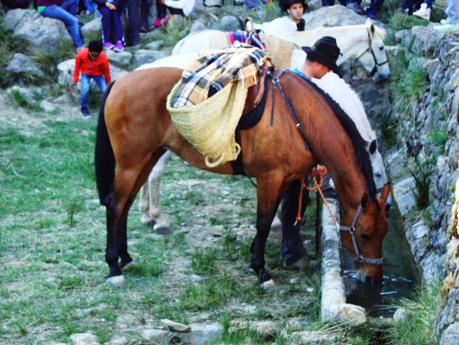La peregrinación de les Useres (Castellón)