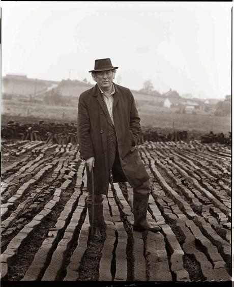 Seamus Heaney: Cavar: