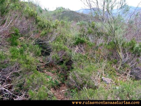 Ruta Peña Redonda: Camino prácticamente cerrado por la vegetación