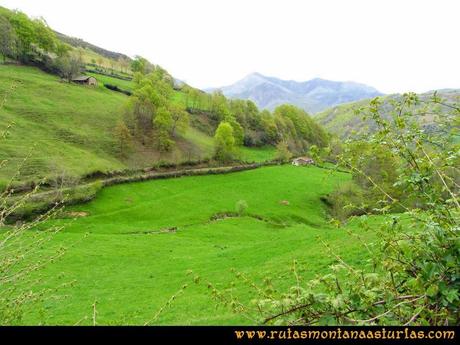 Ruta Peña Redonda: Camino hacia el Molín