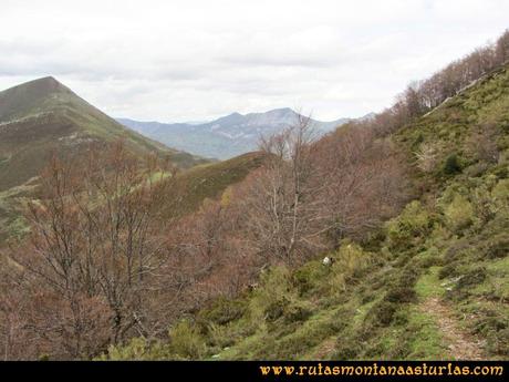 Ruta Peña Redonda: Bosque previo a collado Chera