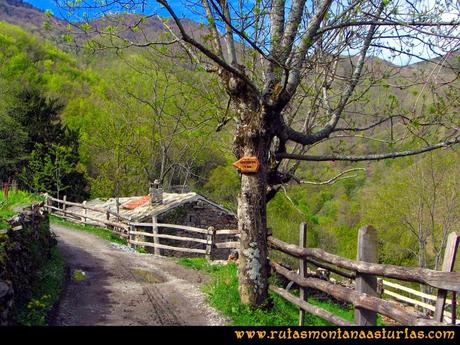 Ruta Peña Redonda: Señal indicando el camino a las Foces del Pino