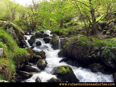 Ruta Peña Redonda: Río Pino