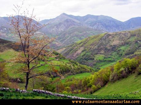 Ruta Peña Redonda: Camino descendiendo por las praderas