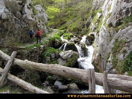 Ruta Peña Redonda: De camino por las Foces del Pino