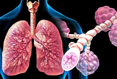 PRANAYAMA PARA COMBATIR EL ASMA Y LA BRONQUITIS