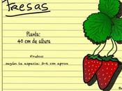 Fresa (Fragaria vesca)
