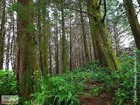 Parque Prusia Parque Prusia