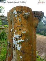 Parque Prusia Parque Prusia