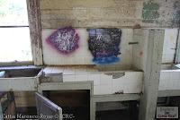 Parque Prusia Parque Prusia