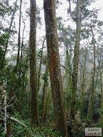 Parque Prusia Parque Prusia