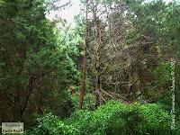 Parque Prusia Parque Prusia