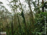 Parque Prusia Parque Prusia