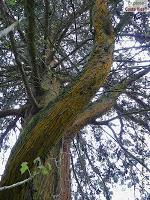 Parque Prusia Parque Prusia