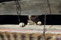 Parque Prusia Parque Prusia