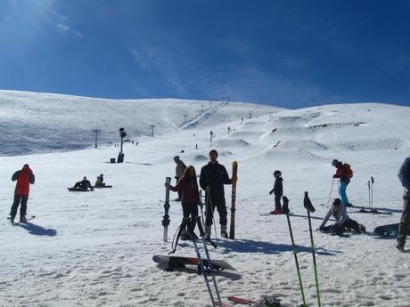 CAPITULO XXIV: Postales de Nueva Zelanda | Parte 2 Postales Nueva Zelanda