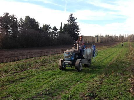 CAPITULO XXIV: Postales de Nueva Zelanda | Parte 2 Postales Nueva Zelanda