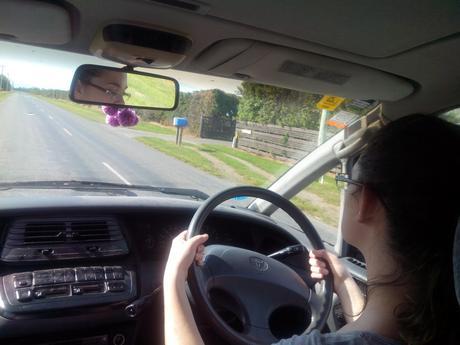 CAPITULO XXIV: Postales de Nueva Zelanda | Parte 2 Postales de Nueva Zelanda