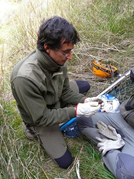 Agentes para la Protección de la Naturaleza del Gobierno de Aragón: Los Ojos de la Ciencia