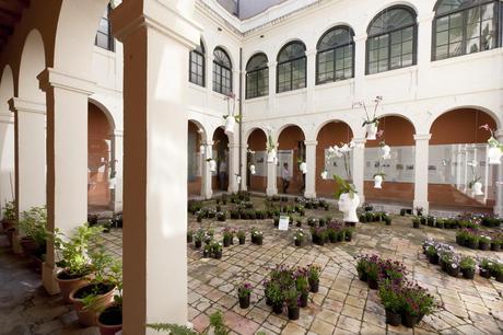 Museo de Historia de Girona -patio interior museo-de-historia-de-girona-patio