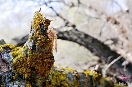 MACRO DEL DÍA: NATURALEZA EN ESTADO PURO