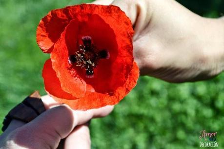 MACRO DEL DÍA: NATURALEZA EN ESTADO PURO