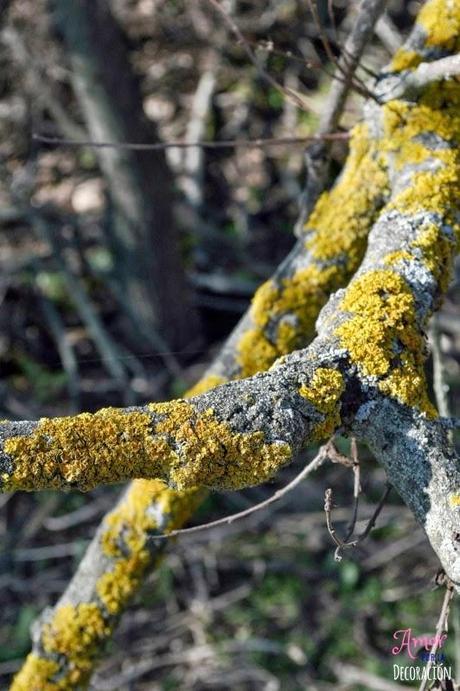 MACRO DEL DÍA: NATURALEZA EN ESTADO PURO